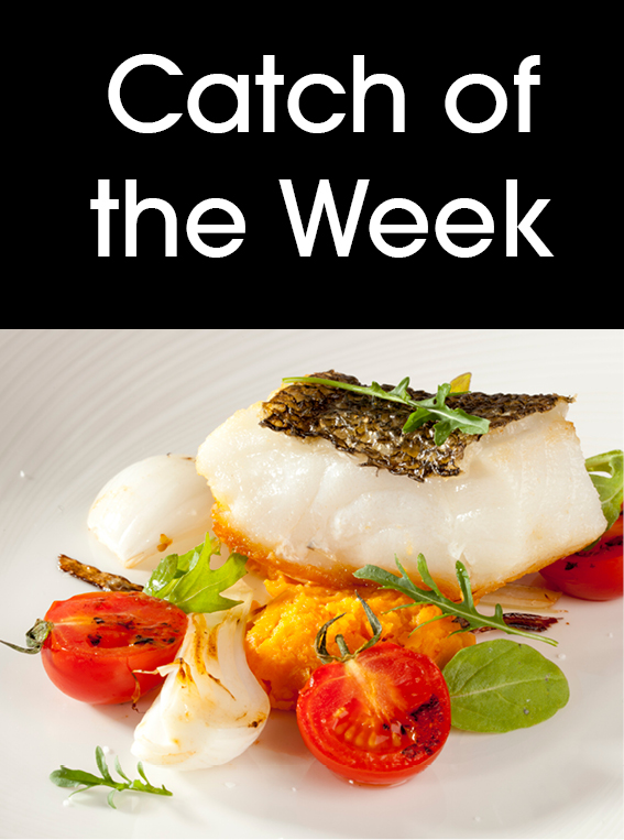Catch of the Week